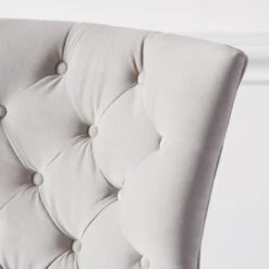 Nottingham Dining Chair - Acrylic -Zgallerie Deals Store 013616883 4 99932.1690271748.386.513