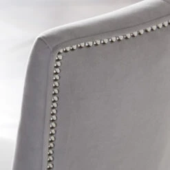 Nottingham Dining Chair - Acrylic -Zgallerie Deals Store 013616883 5 99734.1690271749.386.513