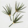 Faux Snake Grass Pick - Set Of 3