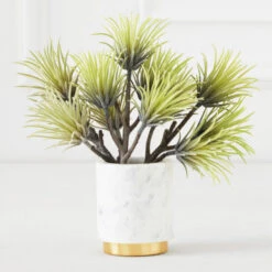 Faux Aeonium Succulent Pick - Set Of 3 -Zgallerie Deals Store 209207468 91232.1690278981.386.513 1