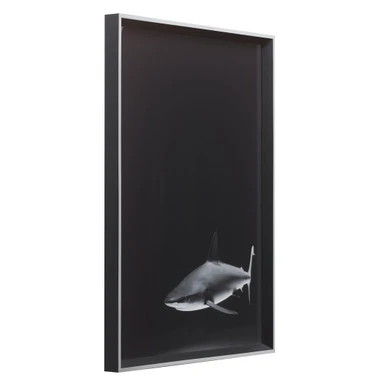 Silence In The Deep 1 Silence In The Deep