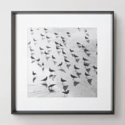 Escher's Seagulls -Zgallerie Deals Store 730157566 50446.1690292292.386.513