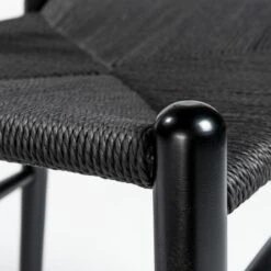 Tia Dining Chair Black/Black - Set Of 2 15 Tia Dining Chair Black/Black - Set Of 2 -Zgallerie Deals Store webimage 013112914 DTL1 jpg