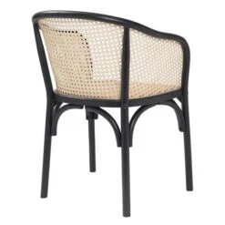 Zaria Arm Chair -Zgallerie Deals Store webimage 013130684 3 jpg