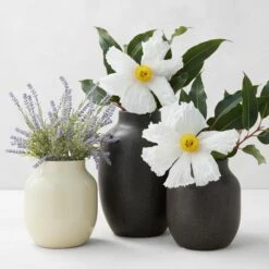 Rayann Vase - Set Of 3
