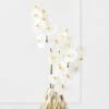 White Orchid Stem - Set Of 3