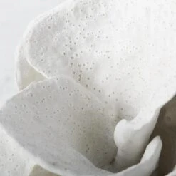 Coral Bookends -Zgallerie Deals Store webimage 186978354 2 jpg 1