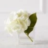 Hydrangea In Glass Vase