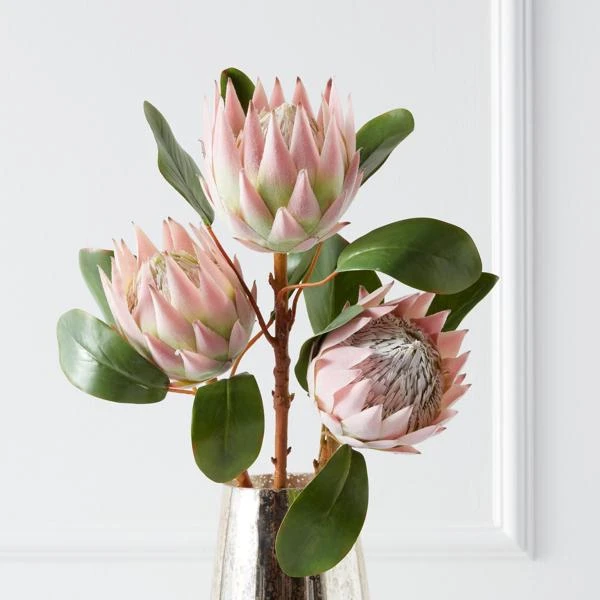 Protea Queen Spray - Set Of 3 1 Protea Queen Spray - Set Of 3