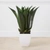 Faux Agave Bush With Square Pot
