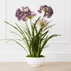 Faux Potted Agapanthus