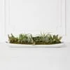 Succulent Assortment In Wood Tray
