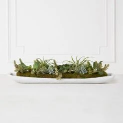 Succulent Assortment In Wood Tray