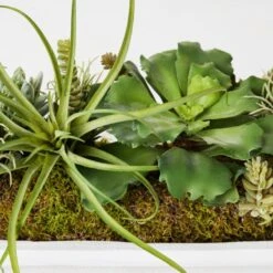 Succulent Assortment In Wood Tray -Zgallerie Deals Store webimage 207999710 dtl2