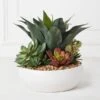 Succulent Assortment In Bowl