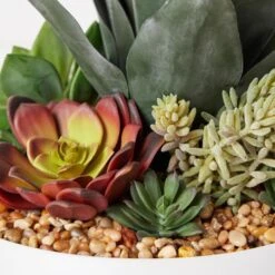 Succulent Assortment In Bowl -Zgallerie Deals Store webimage 207999711 dtl 1