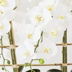 Orchid Trio With Granite Slab -Zgallerie Deals Store webimage 207999715 dtl2