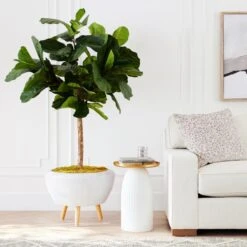 Fiddle Leaf Tree In Bowl 9 Fiddle Leaf Tree In Bowl -Zgallerie Deals Store webimage 207999719 alt6 DSI FIDDLE LEAF IN WHITE POT rv