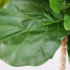 Fiddle Leaf Tree In Bowl 7 Fiddle Leaf Tree In Bowl -Zgallerie Deals Store webimage 207999719 dtl1