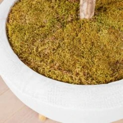 Fiddle Leaf Tree In Bowl 8 Fiddle Leaf Tree In Bowl -Zgallerie Deals Store webimage 207999719 dtl2