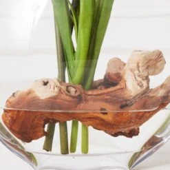 Cymbidium In Glass Vase -Zgallerie Deals Store webimage 207999720 dtl2
