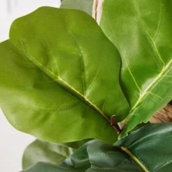 Fiddle Leaf Branches In Bowl -Zgallerie Deals Store webimage 207999724 dtl2
