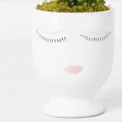 Selfie Succulents In Face Planter -Zgallerie Deals Store webimage 207999751 dtl2