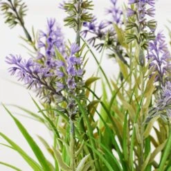 Lavender In Grey Pot 5 Lavender In Grey Pot -Zgallerie Deals Store webimage 207999958 dtl2