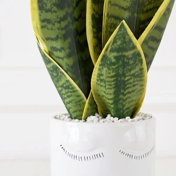 Mother In Law's Tongue/Selfie With Vase 2 Mother In Law's Tongue/Selfie With Vase - Image 2