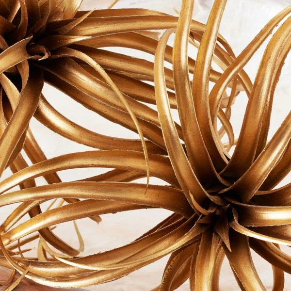 Faux Air Plant 3 Faux Air Plant - Image 3