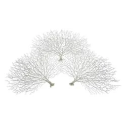 Faux Coral Fan - Set Of 3