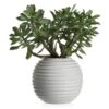 Faux Sedum Succulent Pick - Set Of 3