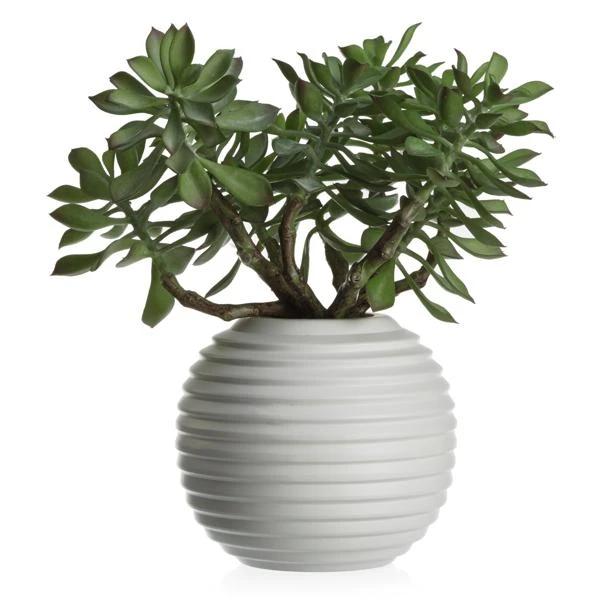 Faux Sedum Succulent Pick - Set Of 3 1 Faux Sedum Succulent Pick - Set Of 3