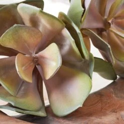 Faux Echeveria Succulent Pick -Zgallerie Deals Store webimage 209200688 dtl