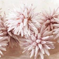 Faux Allium Sphere - Set Of 9 -Zgallerie Deals Store webimage 209202507 dtl 1