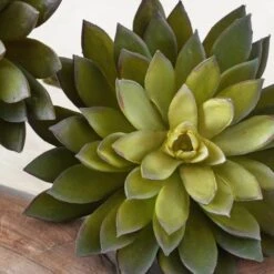 Faux Thorn Succulent Pick -Zgallerie Deals Store webimage 209207824 dtl