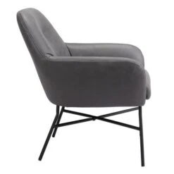 Donte Accent Chair -Zgallerie Deals Store webimage 601596168 ALT2