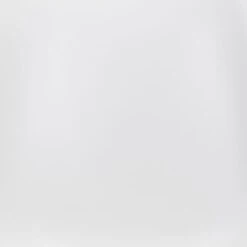 Ronnie Dining Chair - Set Of 2 -Zgallerie Deals Store webimage 603987005 DTL1 1