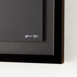 Discopop Lolly -Zgallerie Deals Store webimage 630149968 630148815 DTL3