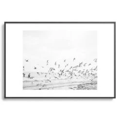 Seagulls Coast -Zgallerie Deals Store webimage 630342225 SIL