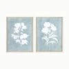Sage - Set Of 2