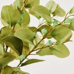 Eucalyptus Spray - Set Of 3 -Zgallerie Deals Store webimage 999172481 dtl 1